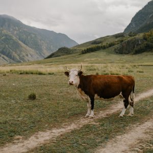 Travel & Tourism Photography